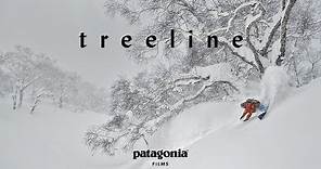 Treeline | The Secret Life of Trees | Patagonia Films
