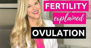 When are you Ovulating? A Fertility Doctor Explains Fertility Awareness Methods