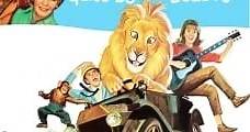 Daktari Clarence, el león bizco (1965) Online - Película Completa en Español - FULLTV
