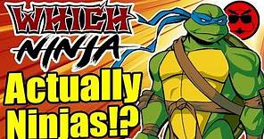 The Teenage Mutant Ninja Turtles are REAL Ninjas!? - Which Ninja