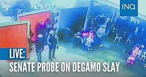 Senate hearing on Degamo slay