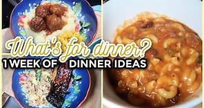 WHAT'S FOR DINNER? #299 | 7 Real Life Family Meal Ideas