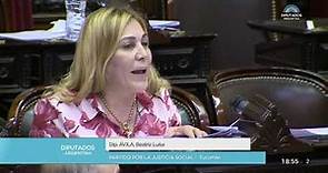 Diputada Ávila Beatriz Luisa - Sesión 19-12-2019 - PL