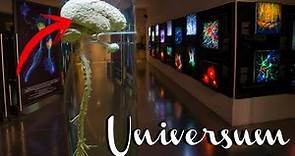 Universum museo de las ciencias UNAM 2018