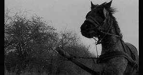 The Turin Horse Trailer
