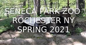 Seneca Park Zoo, Rochester NY, Spring 2021