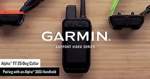 Garmin Support | Alpha® TT 25 Dog Collar | Pairing with an Alpha® 300i