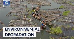 Environmental Degradation: Causes, Effects And Solutions + More | Earthfile