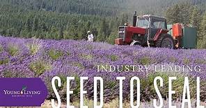 Young Living's Seed to Seal