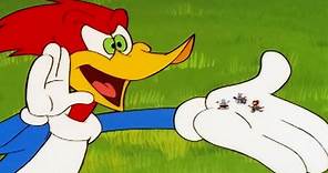 Woody Woodpecker Show | Party Animal | Full Episode | Kids Cartoon | Videos For Kids