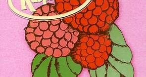 Raspberries - Classic Album Set