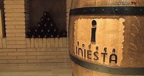 Bodega Iniesta: el proceso de la vid al vino - Reportaje