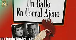 Un Gallo En Corral Ajeno | Tele N | Jorge Negrete