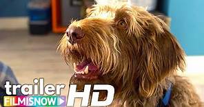 THINK LIKE A DOG (2020) Trailer 🐶 | Paws-itively heartwarming family comedy