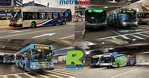 WMATA Metrobus and MCDOT Ride On Bus Action in Silver Spring