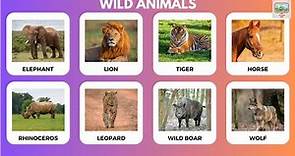 Learn 25+ Wild Animals Name In English - Wild Animal Flashcards With Spellings For Kid's Vocabulary