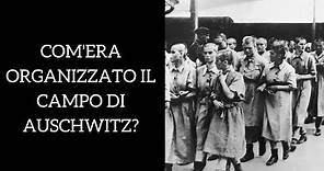 Campo di concentramento di Auschwitz: com'era organizzato?