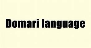 Domari language