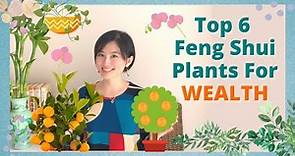 💰TOP 6 Feng Shui Plants for Wealth | Lucky Feng Shui Plants