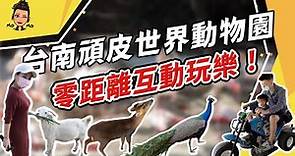 台南頑皮世界野生動物園！親子互動學習好地方｜零距離互動｜動物好好玩～