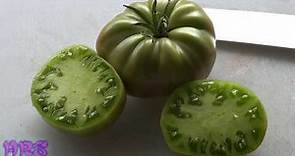 ⟹ Aunt Ruby's German Green Tomato | Solanum lycopersicum | Tomato Review