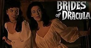 The Brides of Dracula: The Vampiress Film Recap