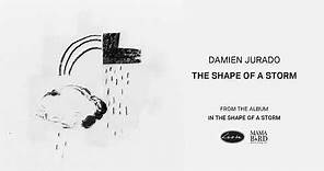 DAMIEN JURADO - The Shape Of A Storm