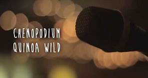 Chenopodium Quinoa Wild - "Quimey Neuquén" (en Vivo)