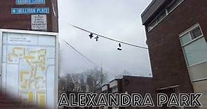 Toronto Hoods - Alexandra Park/P.O.