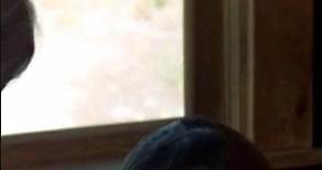 Clint Eastwood. Billy Curtis. Marianna Hill. High Plains Drifter (1973). Clint Eastwood 📽