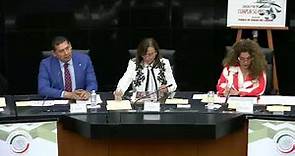 Comparecencia de la secretaria de Energía, Rocío Nahle García, ante la Comisión de Energía