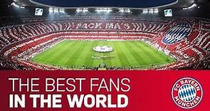"Our fans were simply louder!" | Best FC Bayern Tifos