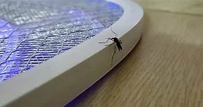 【問卦】現在還有人在用電蚊拍嗎？？？ - Gossiping板 - Disp BBS