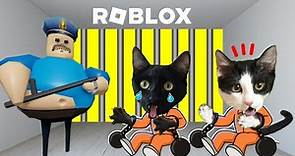 24 horas en la prision de Barry Roblox y escape jugando con gatitos Luna y Estrella Videos de gatos