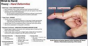 Hand Deformities ✋ How to Identify Them (for NPTE ⭐)