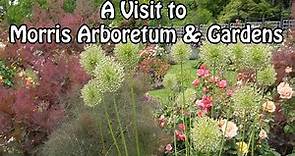 Morris Arboretum & Gardens of the University of Pennsylvania Garden Tour in May 🌹