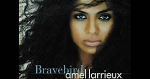Bravebird - Amel Larrieux
