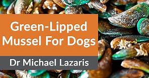 Green-Lipped Mussel For Dogs?