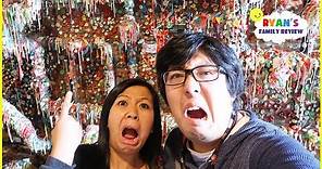World's Largest Gum Wall!!!! Used Bubble Gum Stick on the Wall!!!!