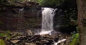 Monongahela National Forest: Birthplace of Rivers | Pew & This American Land