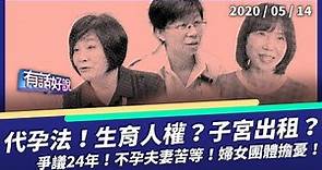 代理孕母法一讀！生育是人權 子宮可出租？（公共電視 - 有話好說）