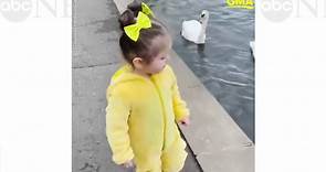 Toddler dressed in duck costume becomes fast friends with a group of swans