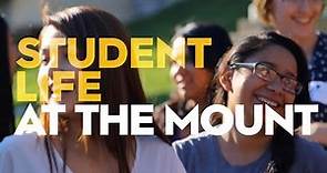 Student Life at Mount Saint Mary's University