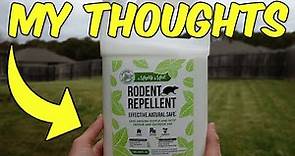 Review of the Mighty Mint Rodent Repellent
