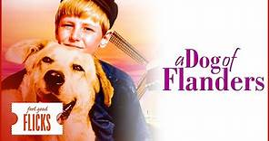 Inspiring Family Movie: A Dog Of Flanders | Feel Good Flicks