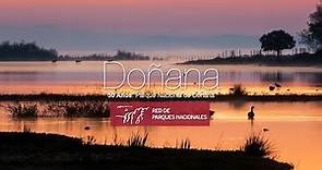 Parque Nacional de Doñana. 💚 50 años de vida