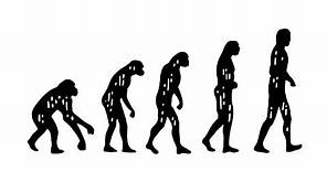 What is Darwin’s Theory of Evolution?