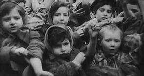 Children photographed together in Auschwitz meet 72 years later