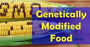 Lecture on Genetically Modified Food