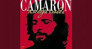 Camarón En Montilla (Bulerías / Versión Antología Inédita/ Remastered 2018)